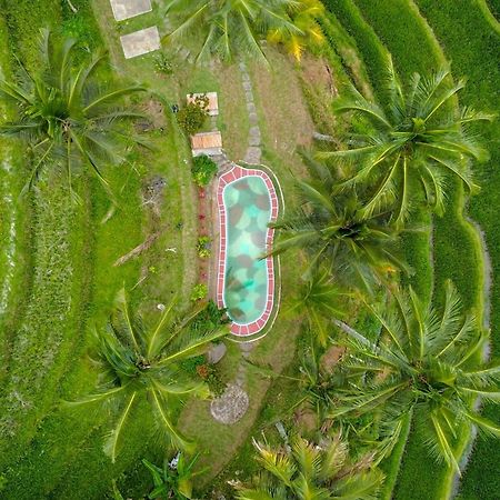 Pesona Bali Ecolodge By Agata Jatiluwih Kültér fotó
