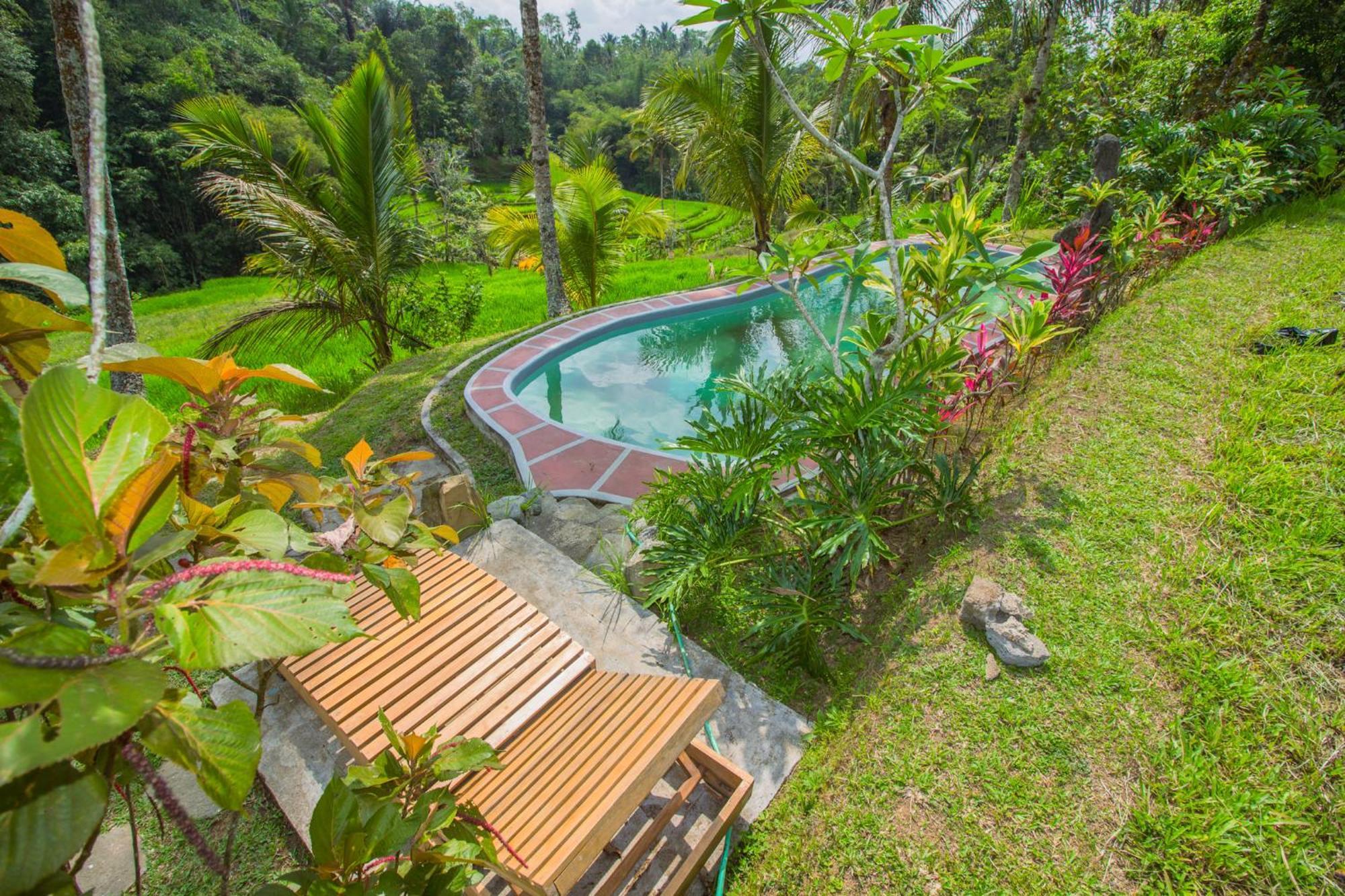 Pesona Bali Ecolodge By Agata Jatiluwih Kültér fotó