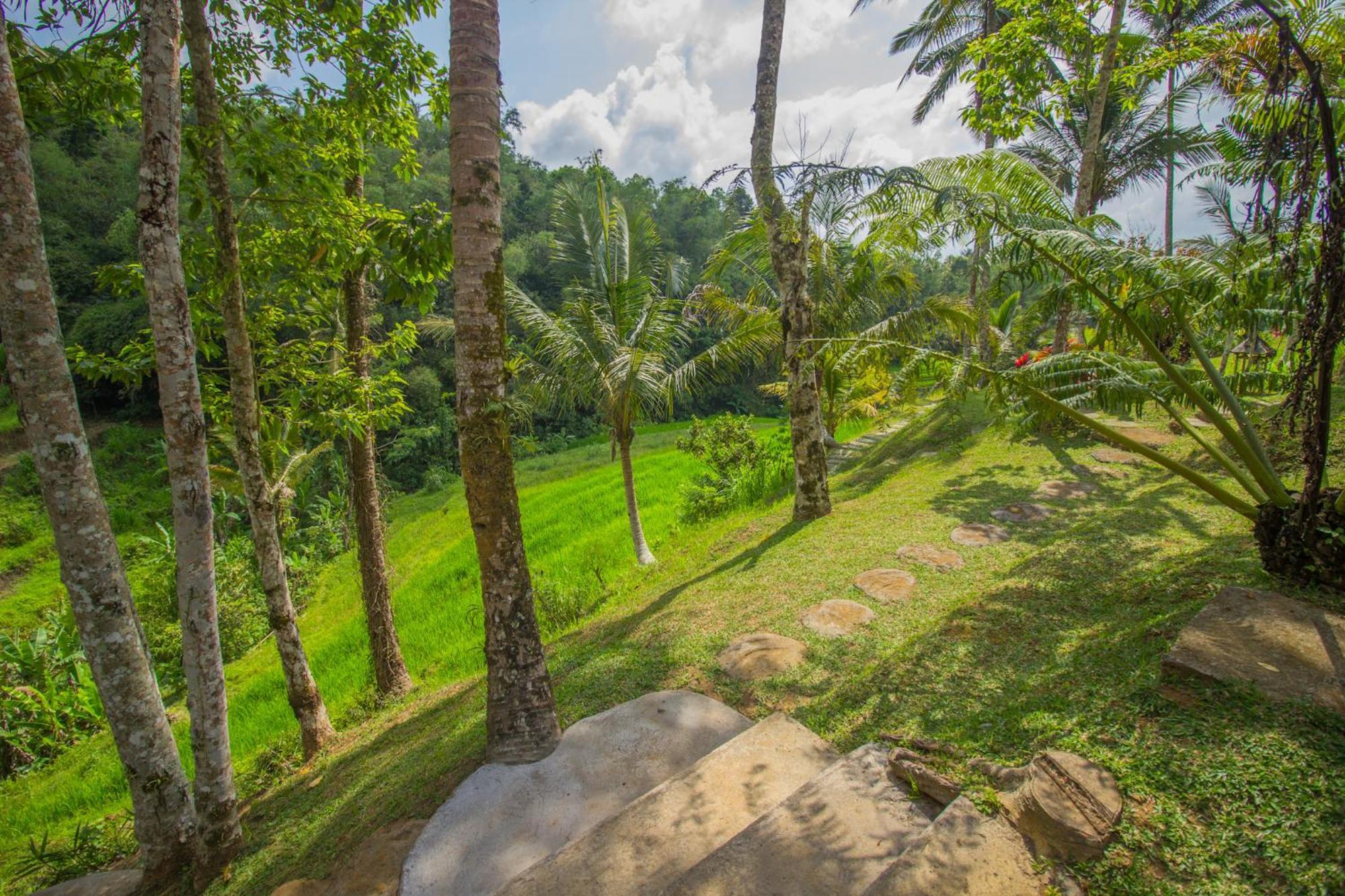 Pesona Bali Ecolodge By Agata Jatiluwih Kültér fotó