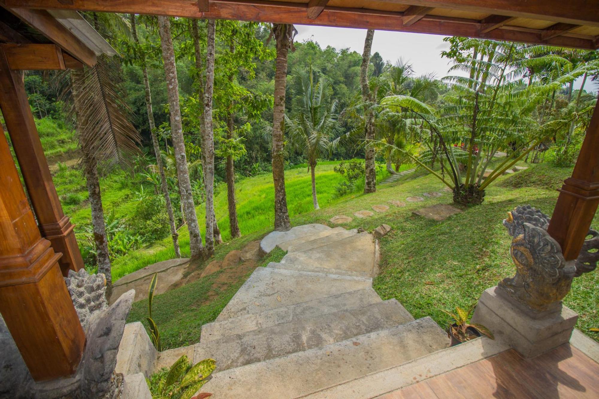 Pesona Bali Ecolodge By Agata Jatiluwih Kültér fotó